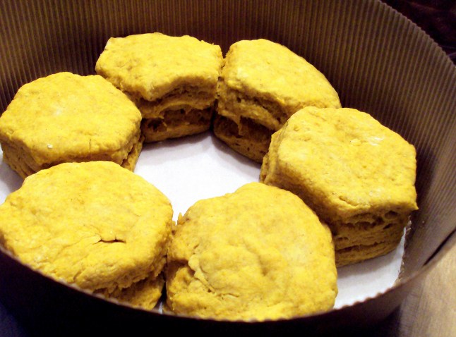 Pumpkin Biscuits | Persnickety Biscuit