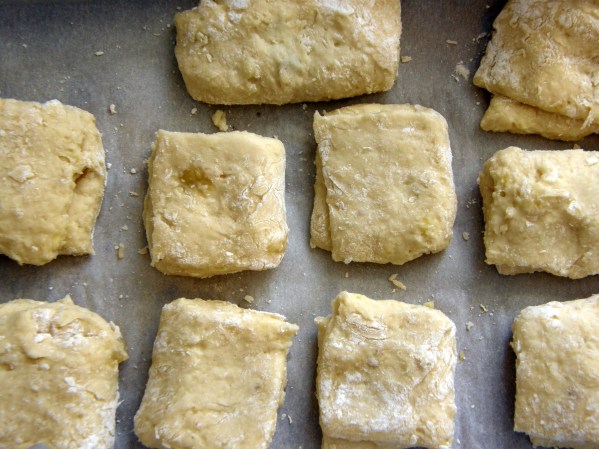 Biscuit Dough| Persnickety Biscuit